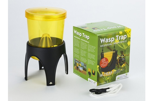 insective-wasp-trap-2