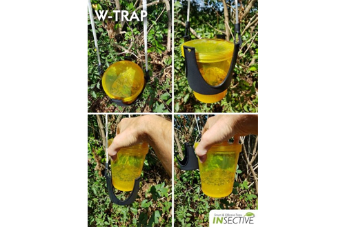 insective-wasp-trap-6